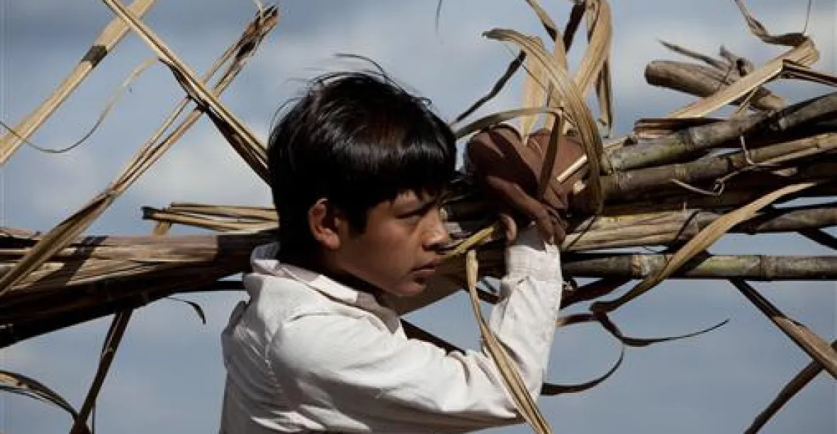 Bolívie uzákonila dětskou práci od deseti let