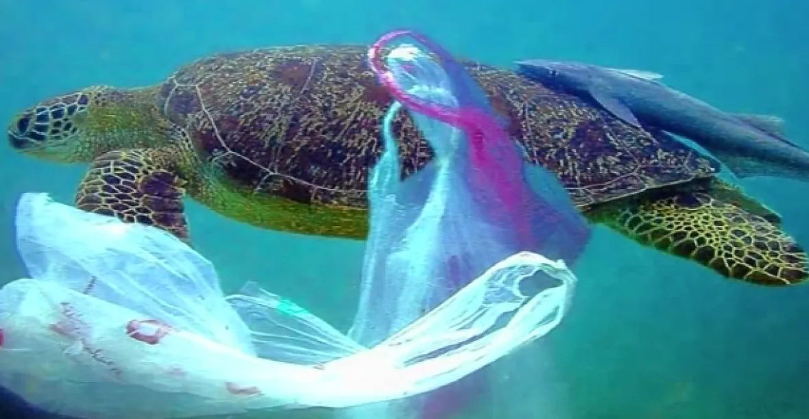 Plastový odpad v oceánech záhadně mizí. Žerou ho ryby?