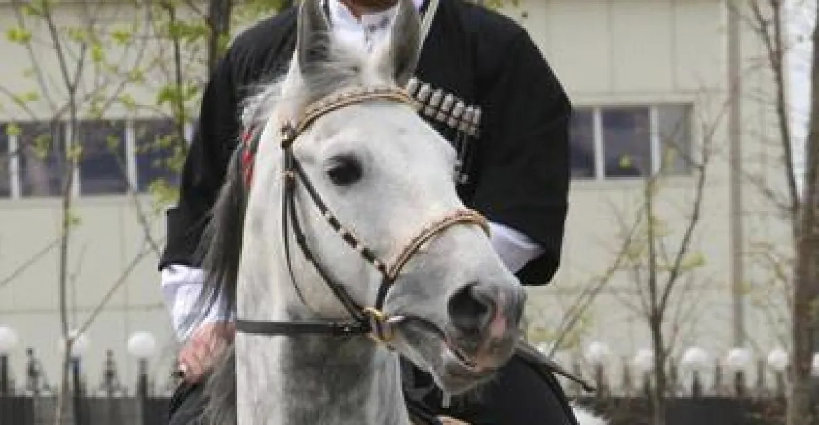 Čečenský prezident žádá omluvu pro své koně