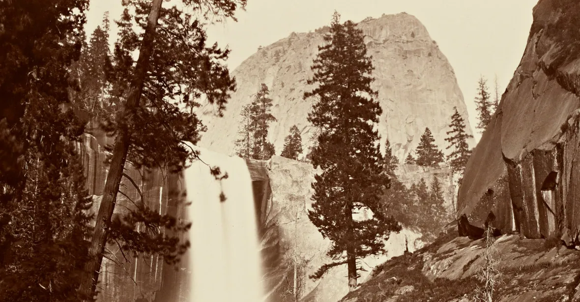 Pravá divočina na 150 let starých snímcích
