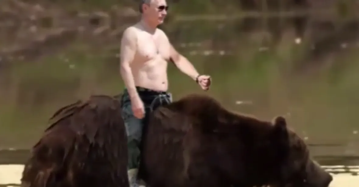 S Putinem se nežertuje. Na medvědovi už jezdit nesmí