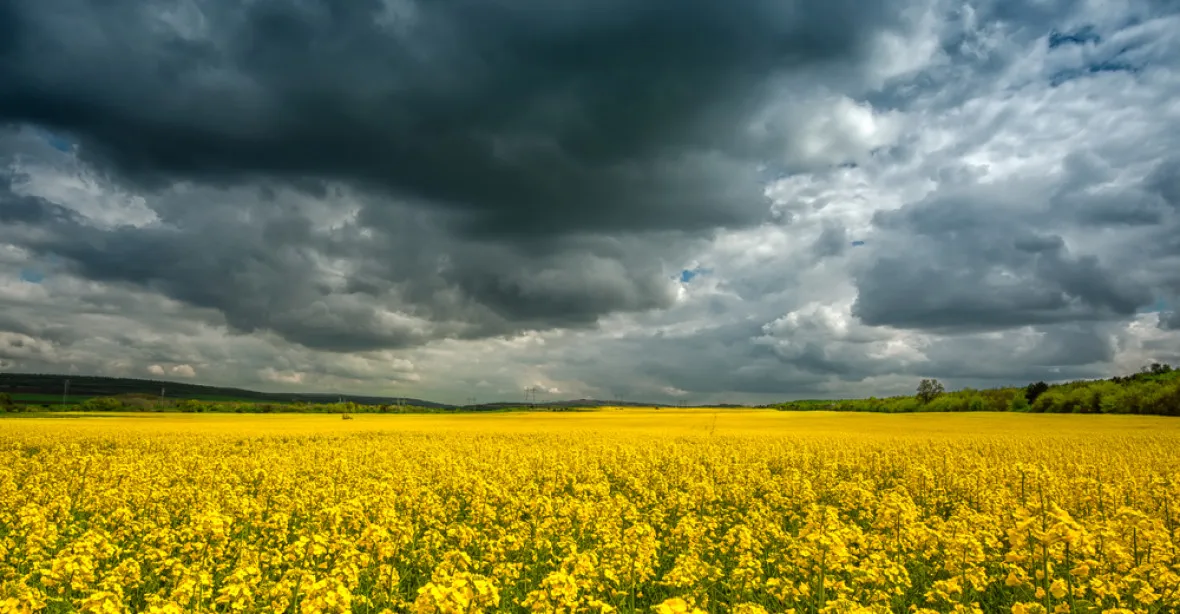 Evropa brzdí s biopalivy, z polí jich bude méně