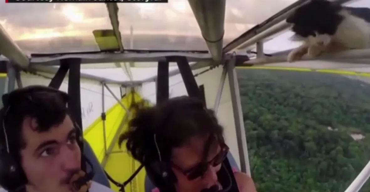 Pilota vyděsila kočka na křídle letadla. Přežila