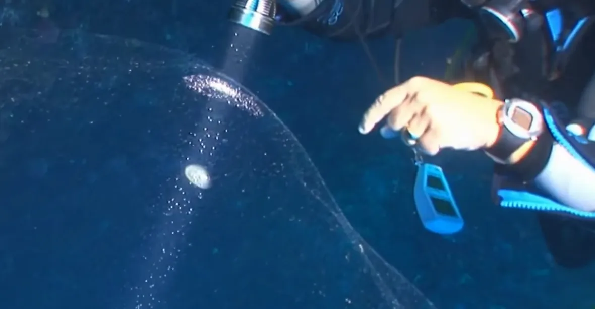 VIDEO: Potápěč natočil záhadnou kouli o velikosti auta