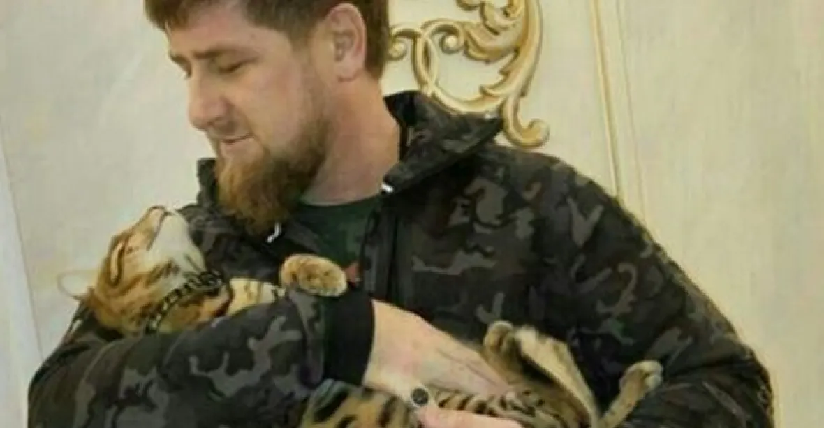 ‚Najděte mou kočičku.‘ Kadyrov si vysloužil posměch
