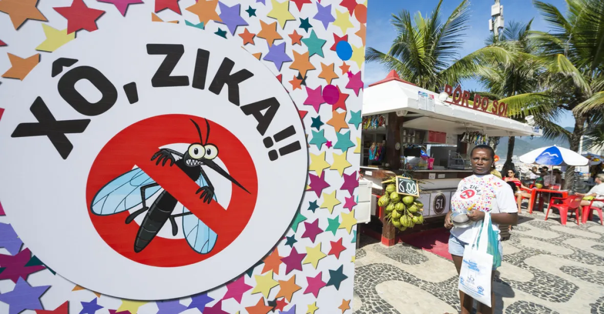 Hrozba viru zika na olympiádě: české sportovce čekají testy