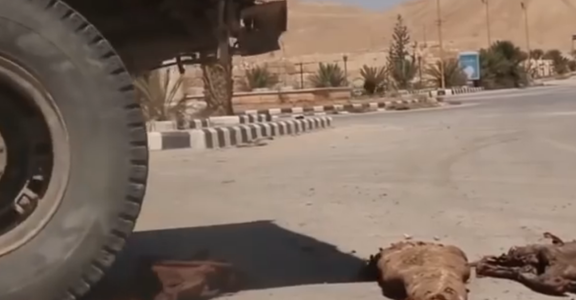 Řádění v Palmýře. Islamisté vzali lidské mumie buldozerem