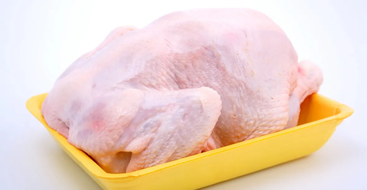 Každé čtvrté kuře ze supermarketů obsahuje E. coli, zjistil britský výzkum