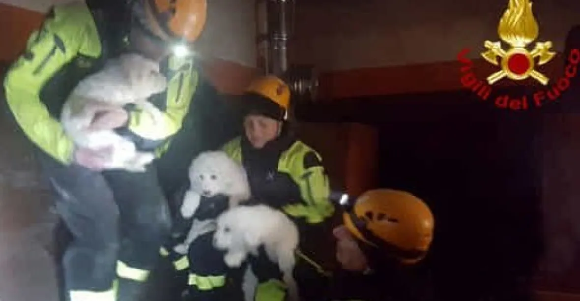 Z trosek hotelu Rigopiano po pěti dnech zachránili tři štěňata