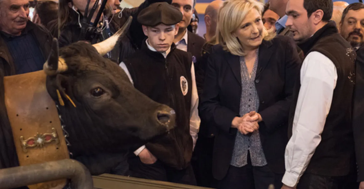 Průzkum: Le Penová se může opírat o nejspolehlivější voliče