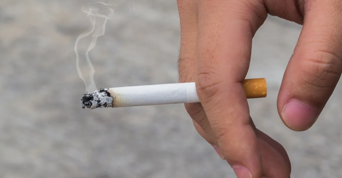 Senátoři navrhli Ústavnímu soudu zrušit zákaz kouření v hospodách