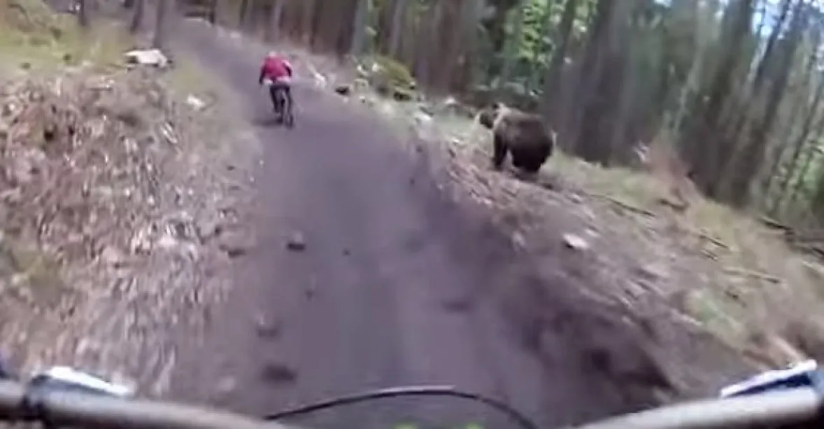 VIDEO: Na cyklisty na Slovensku se vyřítil medvěd