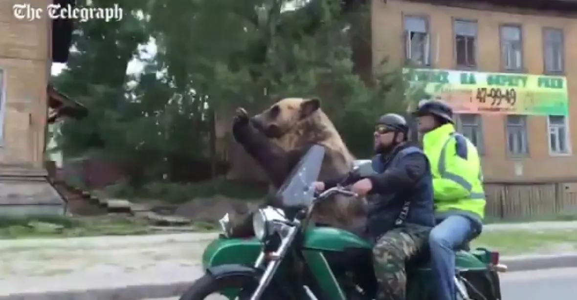 Medvěd jezdí na motorce? V Rusku je možné vše, podívejte se