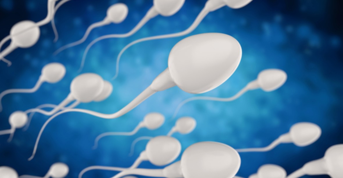 Varovná studie: mužům v Evropě o půlku klesl počet spermií