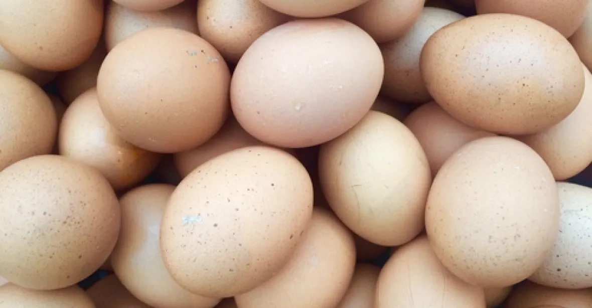 Německo, Belgie a Nizozemsko stahují z trhu miliony toxických vajec