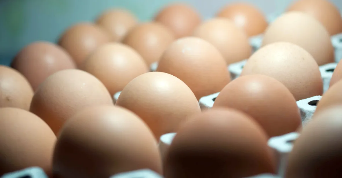 Vaječná panika: Aldi stahuje z prodeje všechna vejce