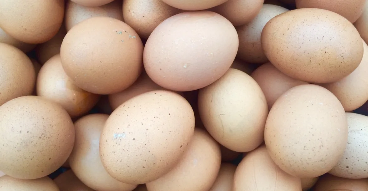 Češi budou testovat vejce z Nizozemska a Belgie. Zatčeni dva manažeři