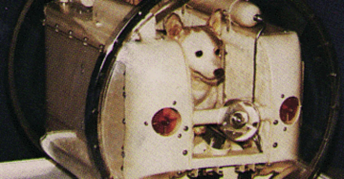 Do kin míří loutkové sci-fi o psí kosmonautce Lajce