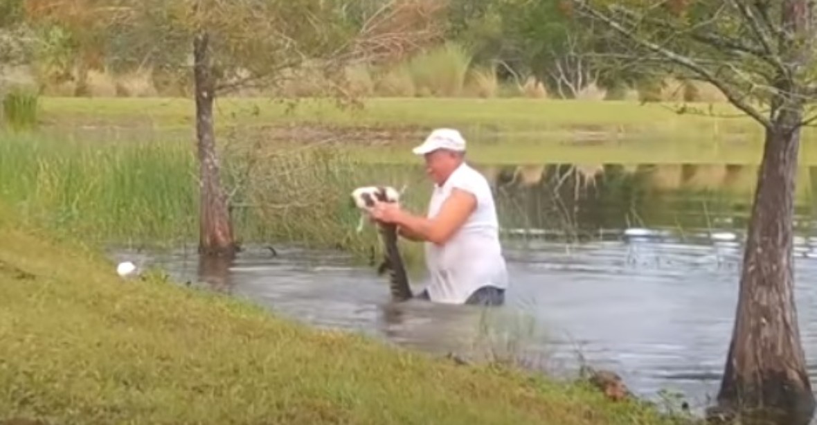 VIDEO: Důchodce skočil do vody a vytrhl štěně z čelistí aligátora