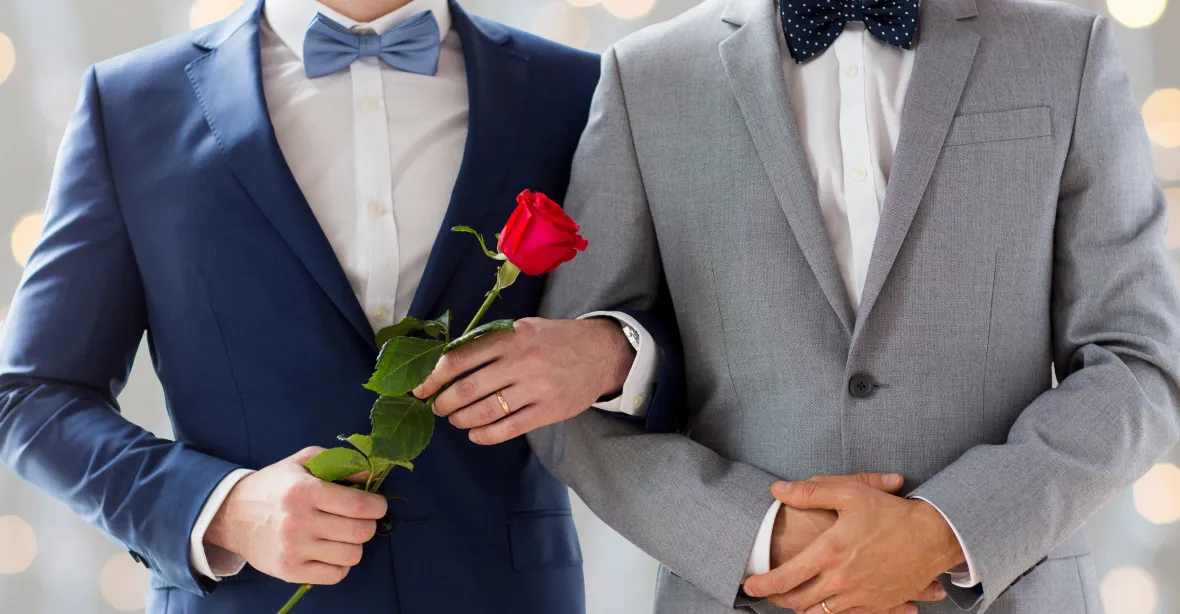 K lidoveckému návrhu o partnerství stejnopohlavních párů je vláda neutrální