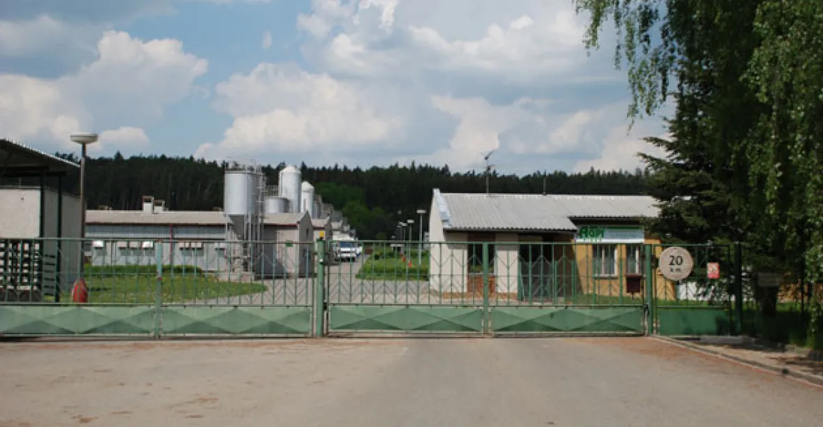 'Prasečí farma na místě genocidy.' Aktivisté blokují vepřín v Letech