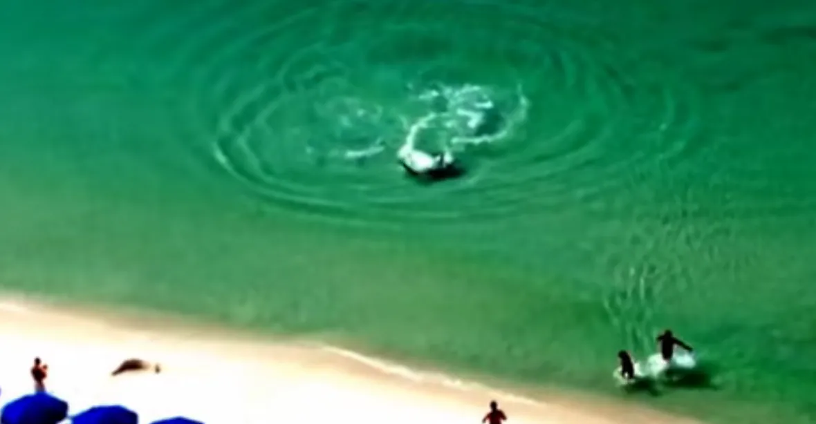 VIDEO: Hej, žralok! Dvojice vyběhla z vody na poslední chvíli