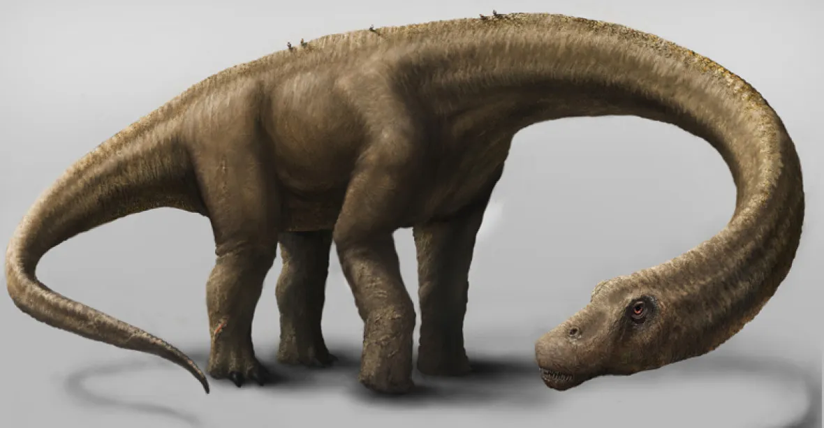 Nový nález: dinosaurus 7x větší než Tyrannosaurus rex