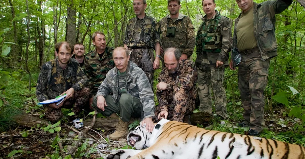 Putinův tygr přeplaval do Číny. Rusko posílá nótu