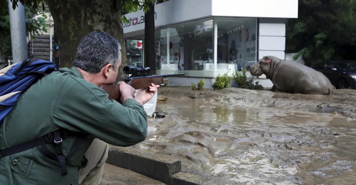 Záplavy v Tbilisi: 12 mrtvých a desítky bezbranných zvířat