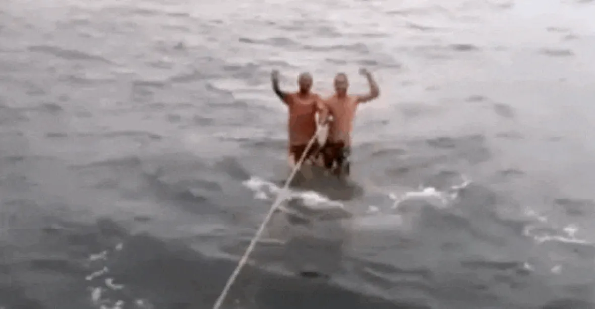 VIDEO: Muži surfují na obřím chráněném žralokovi