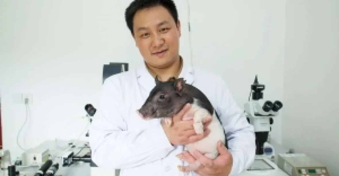 Miniprase –  vedlejší produkt čínského genetického inženýrství