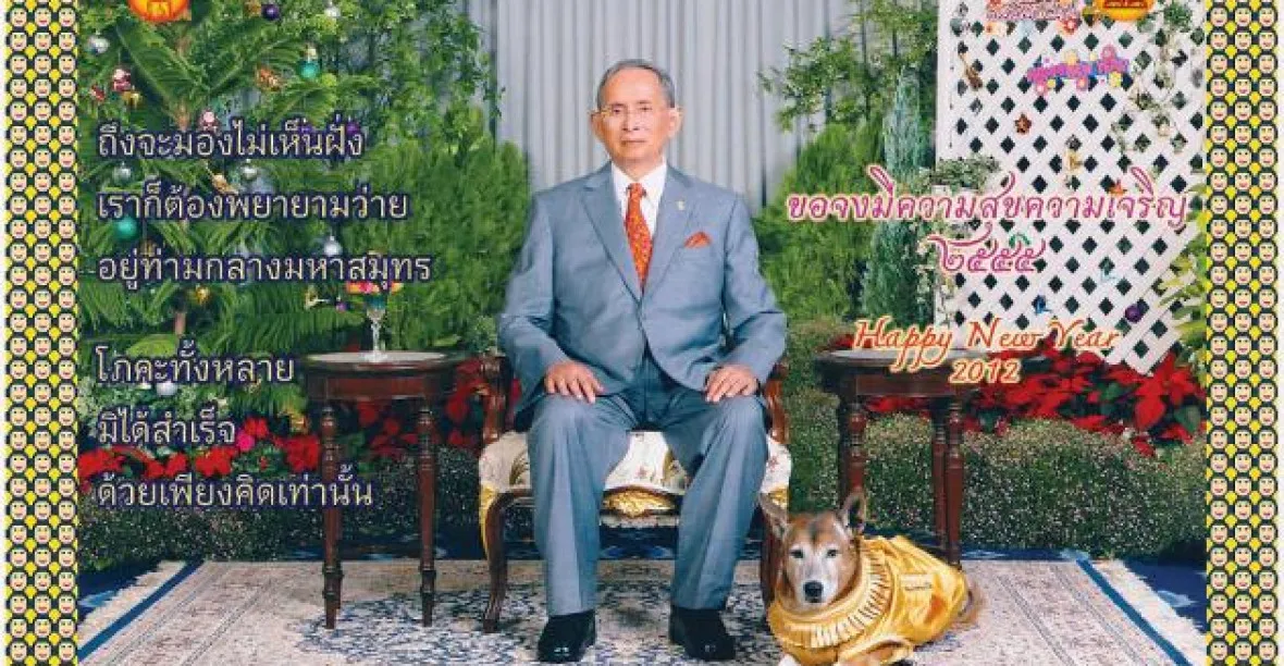 Urazil psa thajského krále. Hrozí mu 15 let žaláře