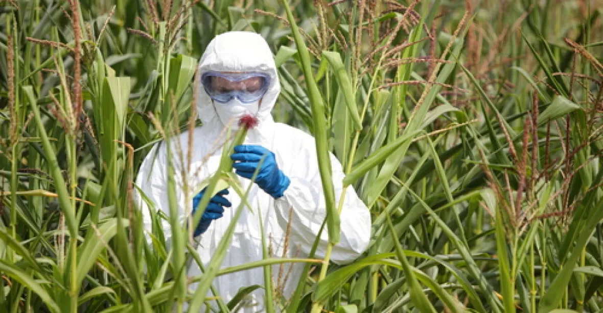 Evropa přešlapuje na geneticky modifikovaném rozcestí