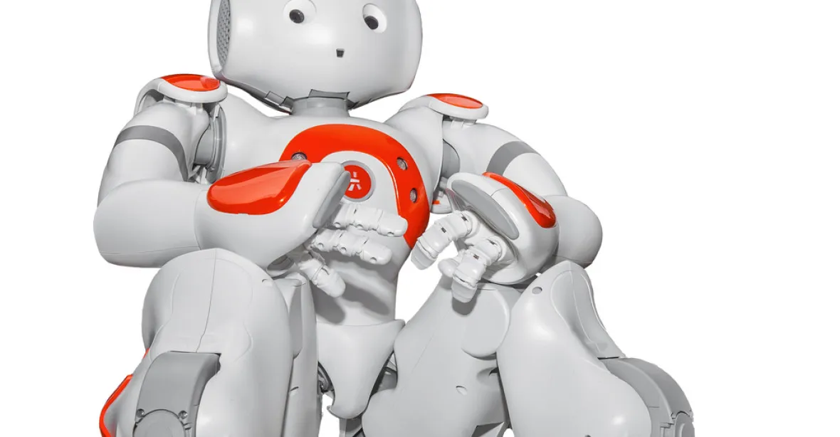 Dětem migrantů by s výukou němčiny mohly pomáhat roboti
