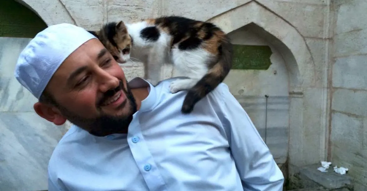‚Našly soucitné srdce.‘ Imám pozval do mešity toulavé kočky