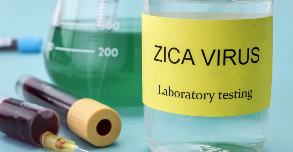Vir zika je pro těhotné nebezpečnější, než se myslelo