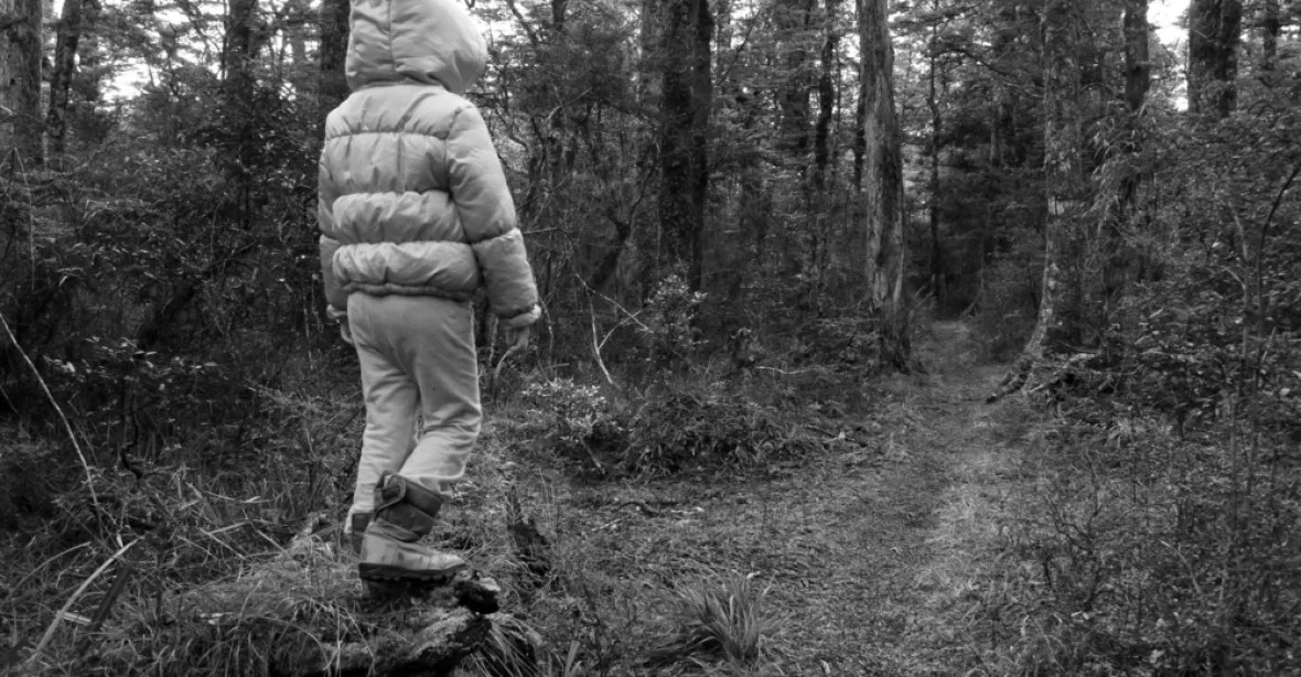Muž vylákal do lesoparku šestiletou dívku. Policie ho při rozsáhlé akci zadržela