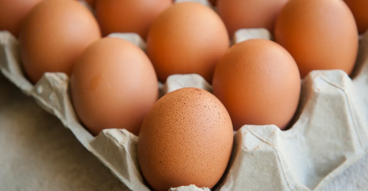 Kaufland, Tesco a Ahold musí stáhnout miliony vajec. Kvůli salmonelóze