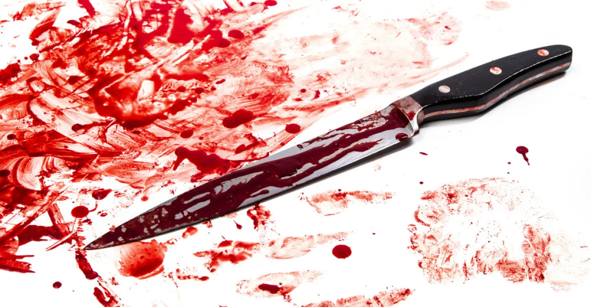 „Chci krev. Chci zabíjet,“ řekl ještě před radikalizací útočník z Londýna