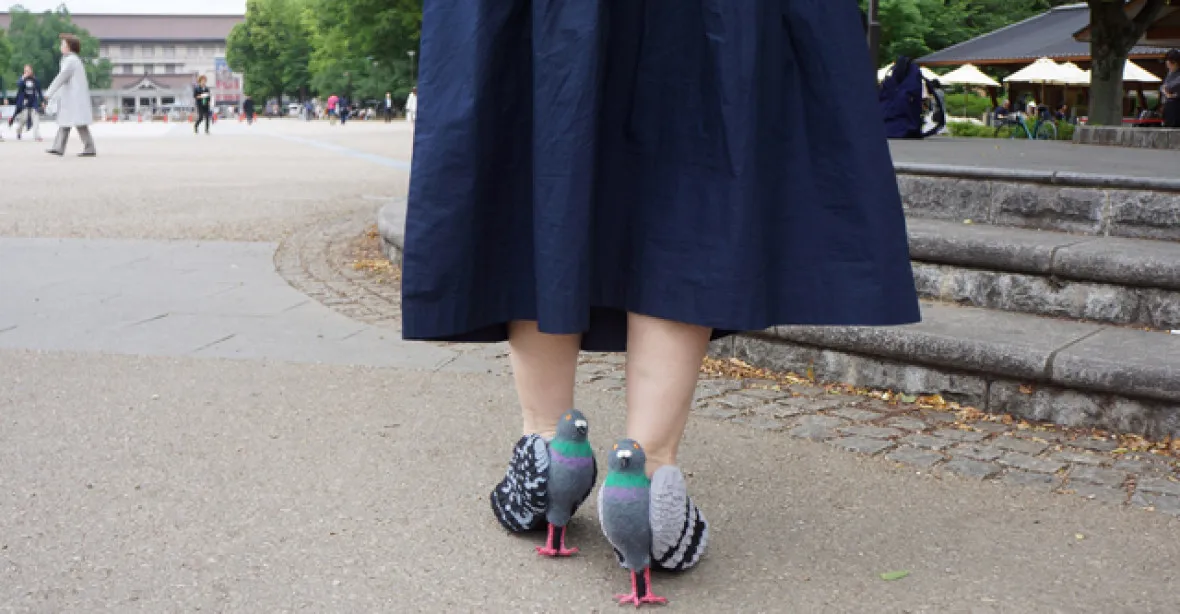 VIDEO: Šílený nápad umělkyně: boty z holuba