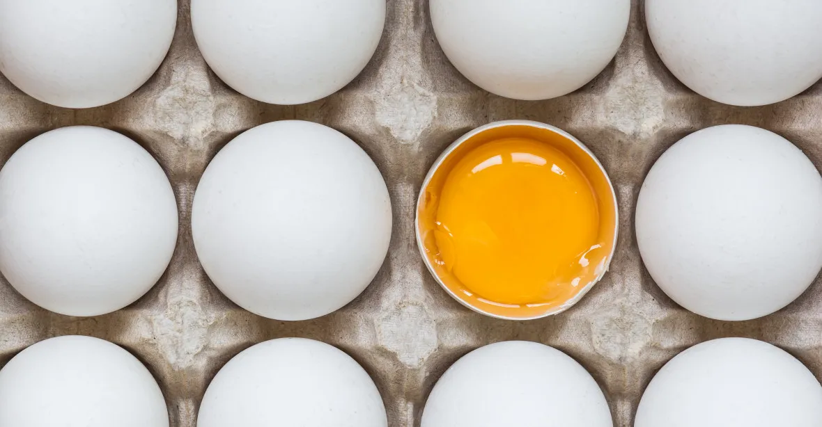 Proč jsou vejce v EU až o polovinu levnější?