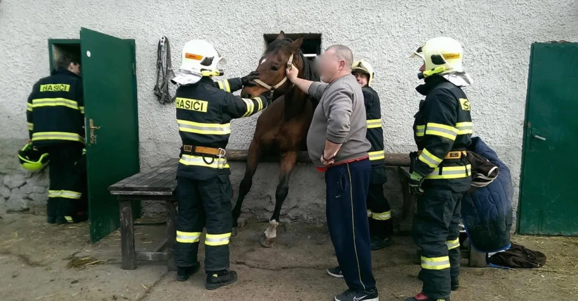 Kůň vyrazil z maštale oknem. Zaklíněného oře vysvobodili až hasiči