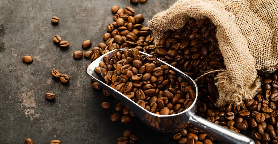 Přijde lidstvo o kávu? Arabika patří mezi ohrožené druhy rostlin