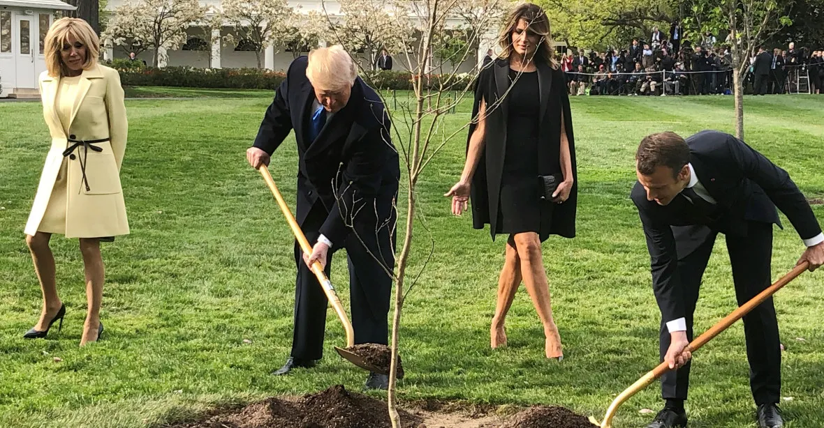 Z trávníku u Bílého domu zmizel strom zasazený Trumpem a Macronem