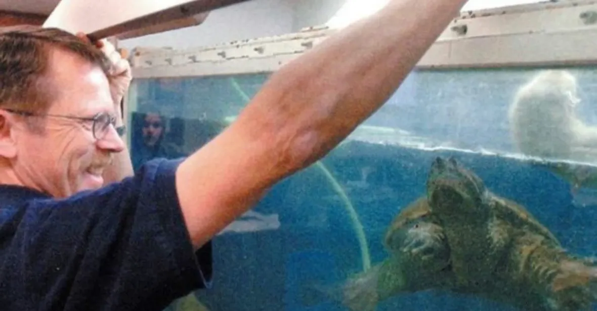 Učitel před žáky krmil želvu živým štěnětem. Hrozí mu půl roku ve vězení