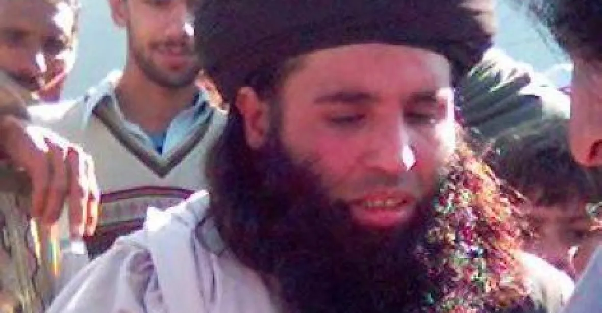 Při amerických náletech zahynul vůdce pákistánského Tálibánu