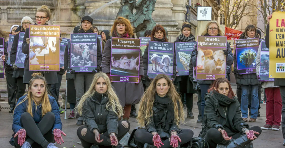 Francouzští řezníci žádají vládu o ochranu před útoky veganů