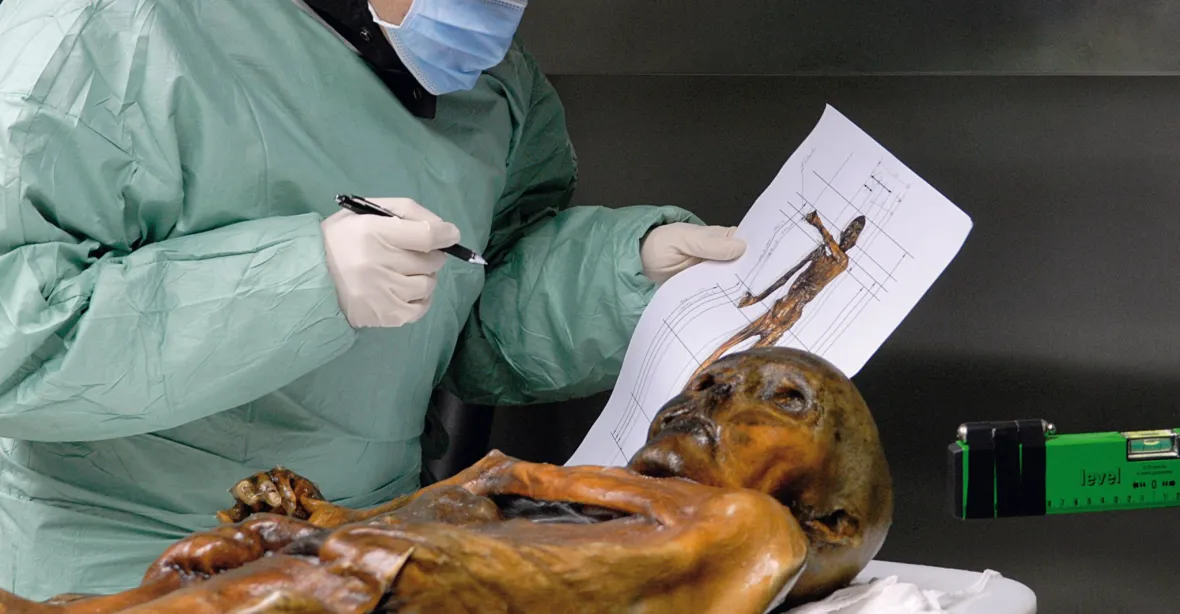 Ötziho poslední večeře: vědce překvapil obsah žaludku pravěké mumie
