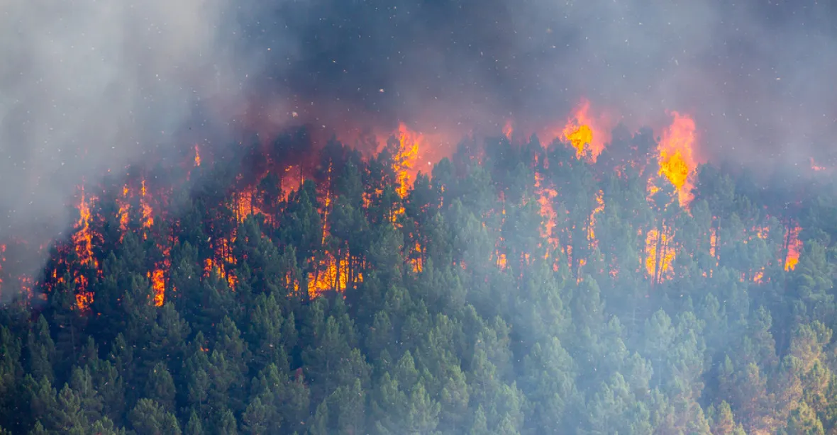 „Hoří celá hora.“ Hasiči na Kokořínsku bojovali s dvěma požáry lesa