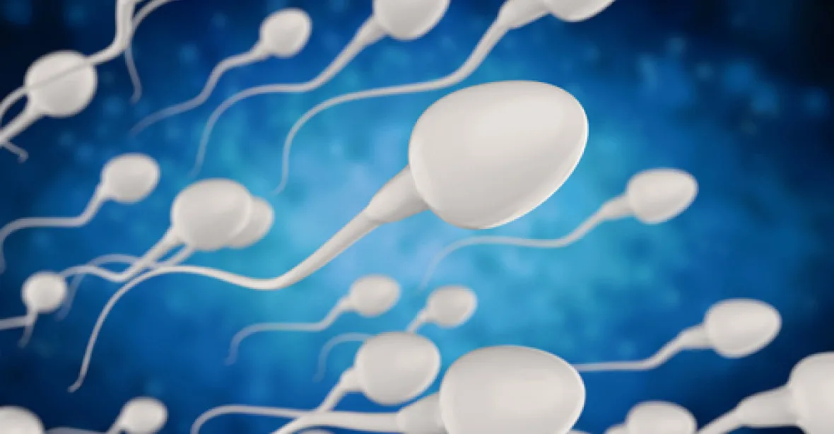 Výběr spodního prádla má vliv na množství spermií, tvrdí vědci